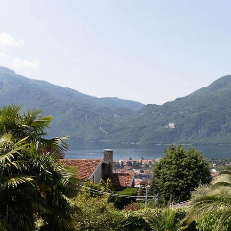 Mamma Ciccia Holiday Home - Mountains & Lake Mandello del Lario Luaran gambar